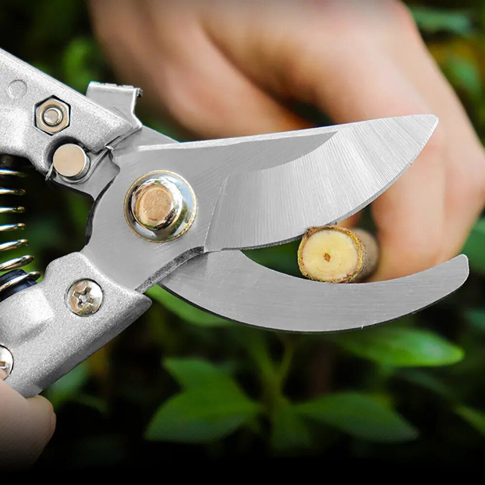 Professional Grafting Garden Tools Branches Shears Garden Scissors