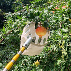 6m 19.5FT Fruit Picker Telescopic  Stainless steel Extension Pole hook sickle