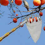 6m 19.5FT Fruit Picker Telescopic  Stainless steel Extension Pole hook sickle