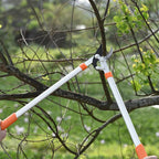 Garden Tree Pruning Shears SK5 Steel