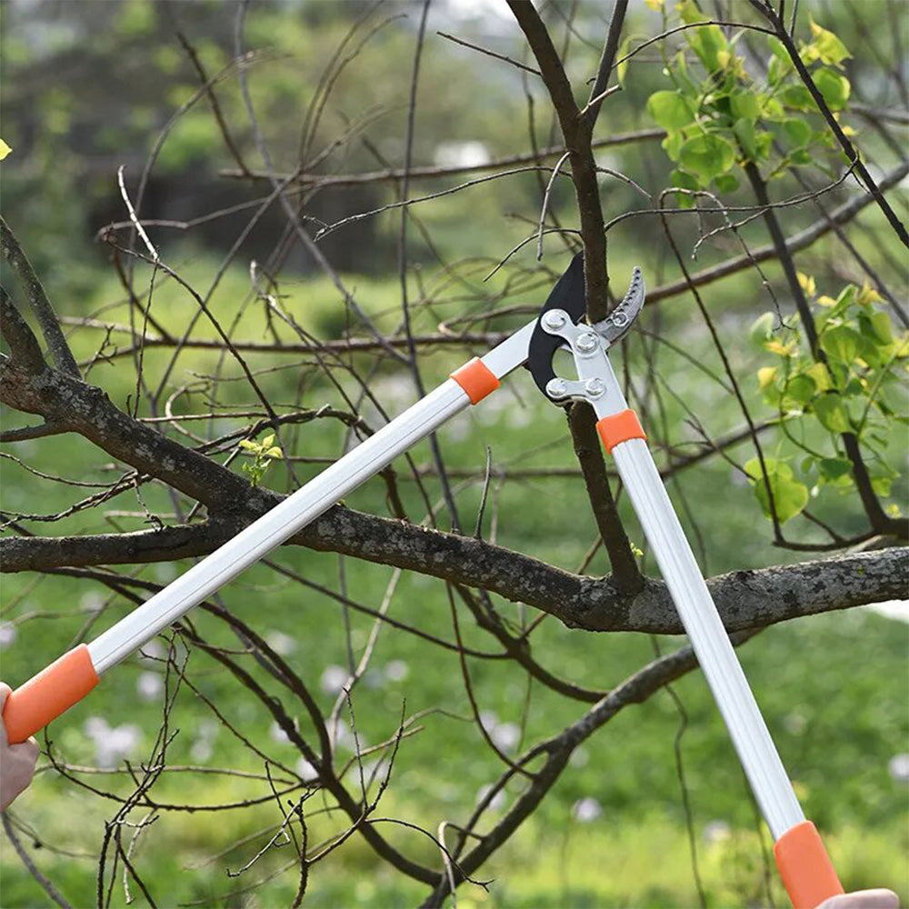 Garden Tree Pruning Shears SK5 Steel
