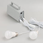 YH1011 2 in 1 Portable mini solar power lighting system kits with music speaker